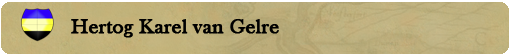 BENO BANNER SITUATIE HERTOGGELRE